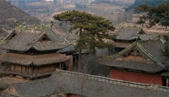 图片2.JPG